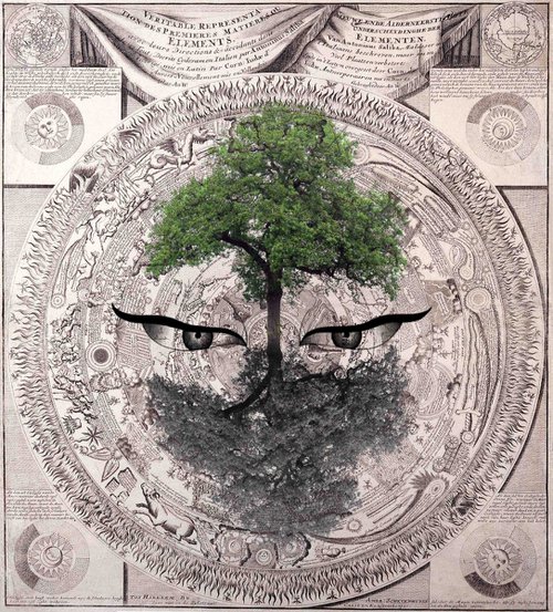 The third eye by Sumit Mehndiratta