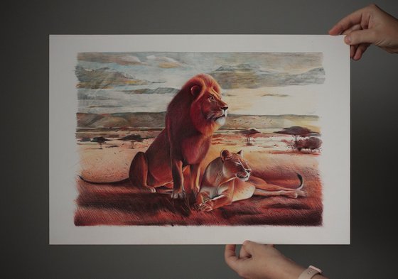 Lions