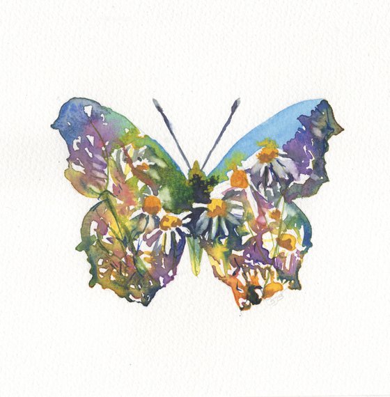 Butterfly - Daisy