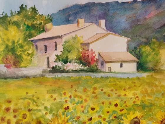 Sunflower field - Landscape - Watercolor