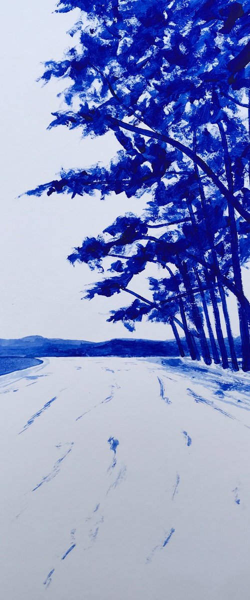Cap Coz beach by Cadiou Frederic