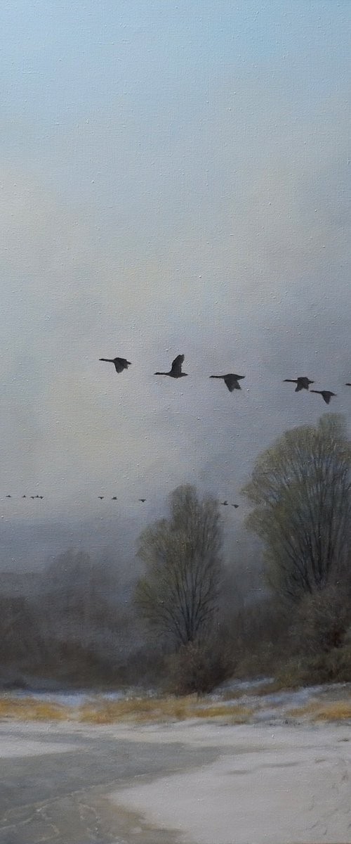 Geese on the run. by Gerard Kramer