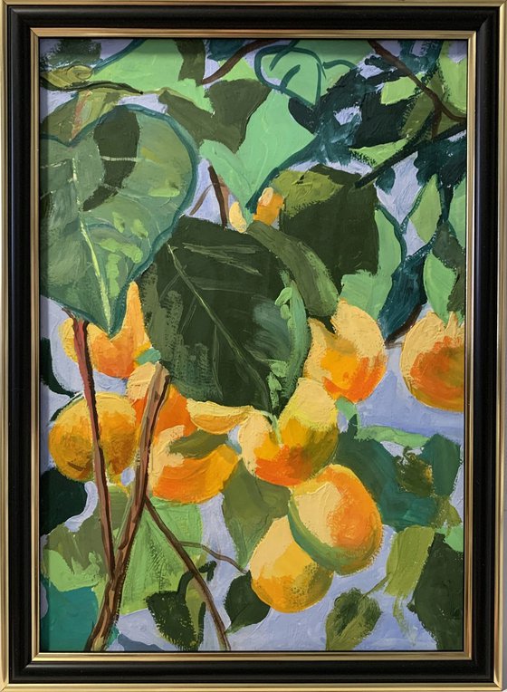 Apricot garden.