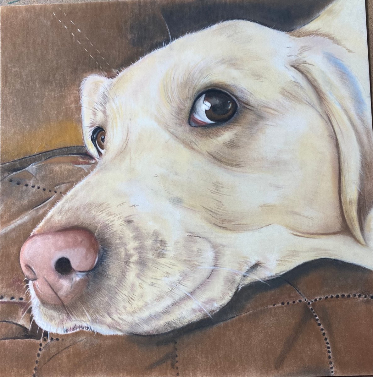 Labrador drawing by Bethany Taylor