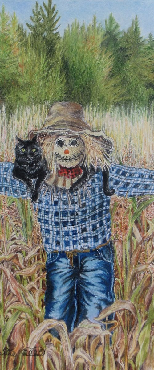 Scarecrow And Scaredy Cat by Nina Elaine Thompson