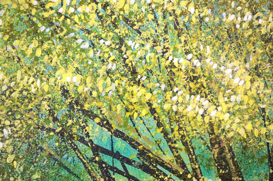 Tree In Summer