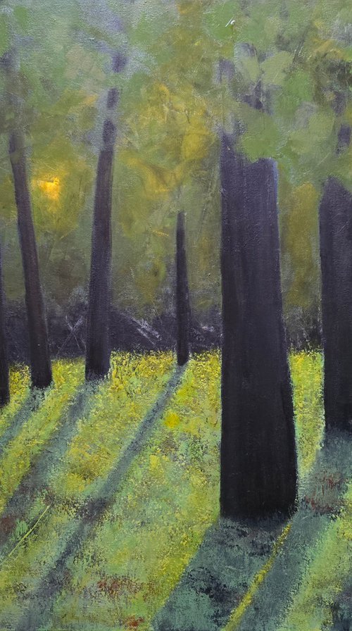 Light Within the Quiet by Faith Patterson