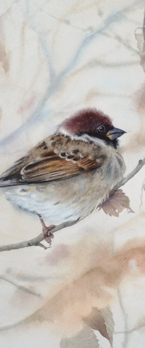 Sparrow in Winter by Olga Beliaeva Watercolour
