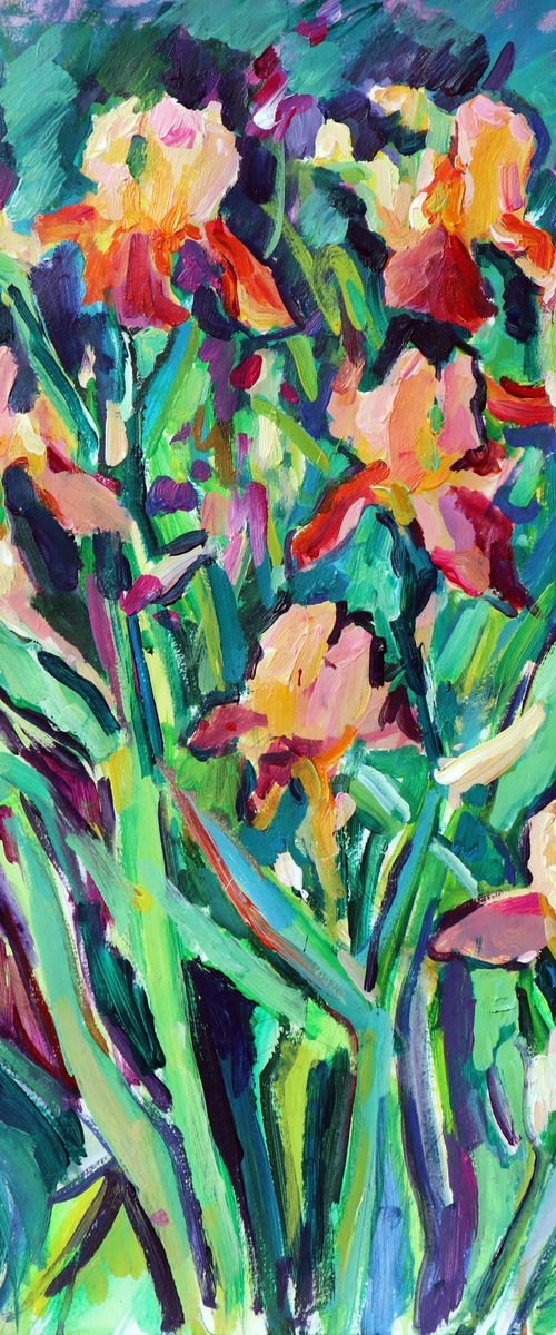 Irises, evening (plein air) by Dima Braga