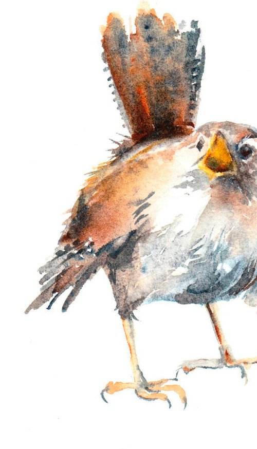 Wren conversation 1 by Anjana Cawdell