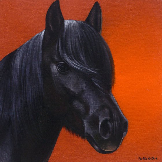 Horse Portrait 77