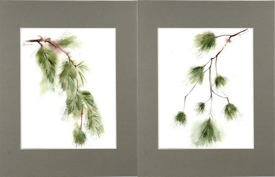 Set of 2 Pine Branches - Original watercolor paintings