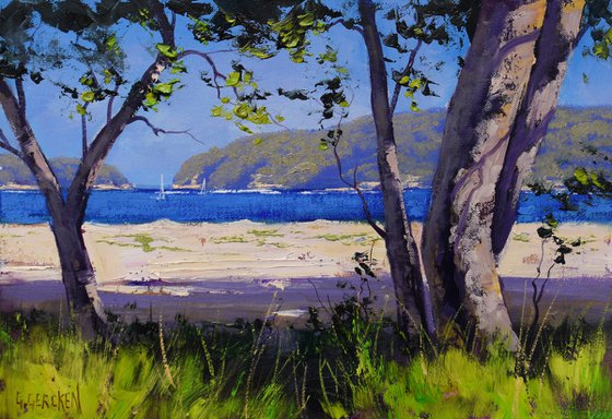 Patonga Beach Australian coastline
