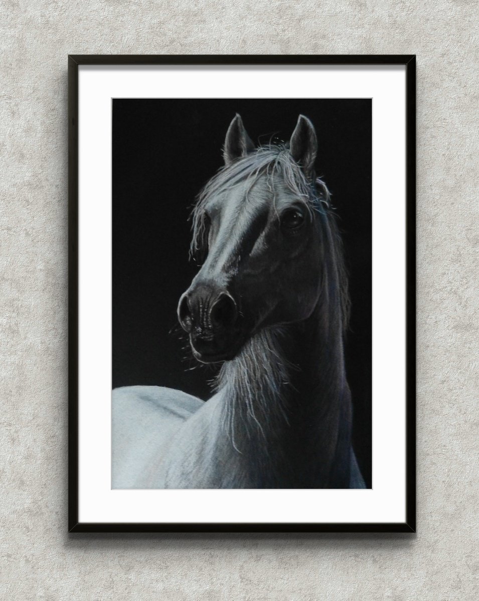 Photorealistic Animal Pencil Drawing By Silvia Frei, 17 X 13", White Horse, Original Artwork
