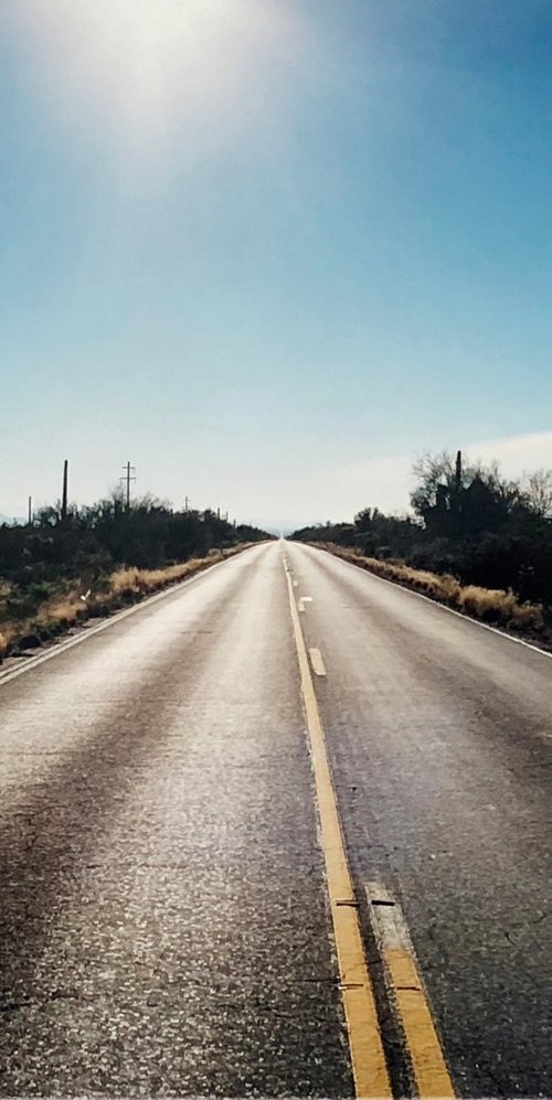 Road to Gunsight, Highway 86, Arizona by Richard Heeps