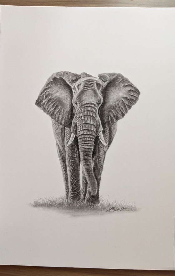 ELEPHANT