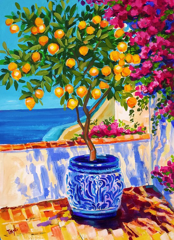 Noon Mediterranean