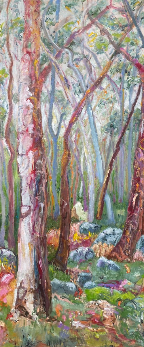 THE ROCKS by Maureen Finck