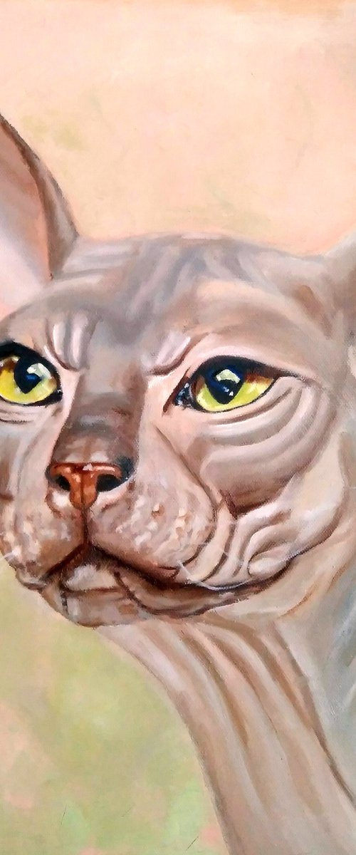 Sphinx cat, 45x50 cm, ready to hang. by Yulia Berseneva