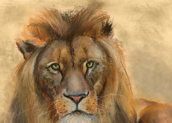 Lion - Original Pastel Drawing