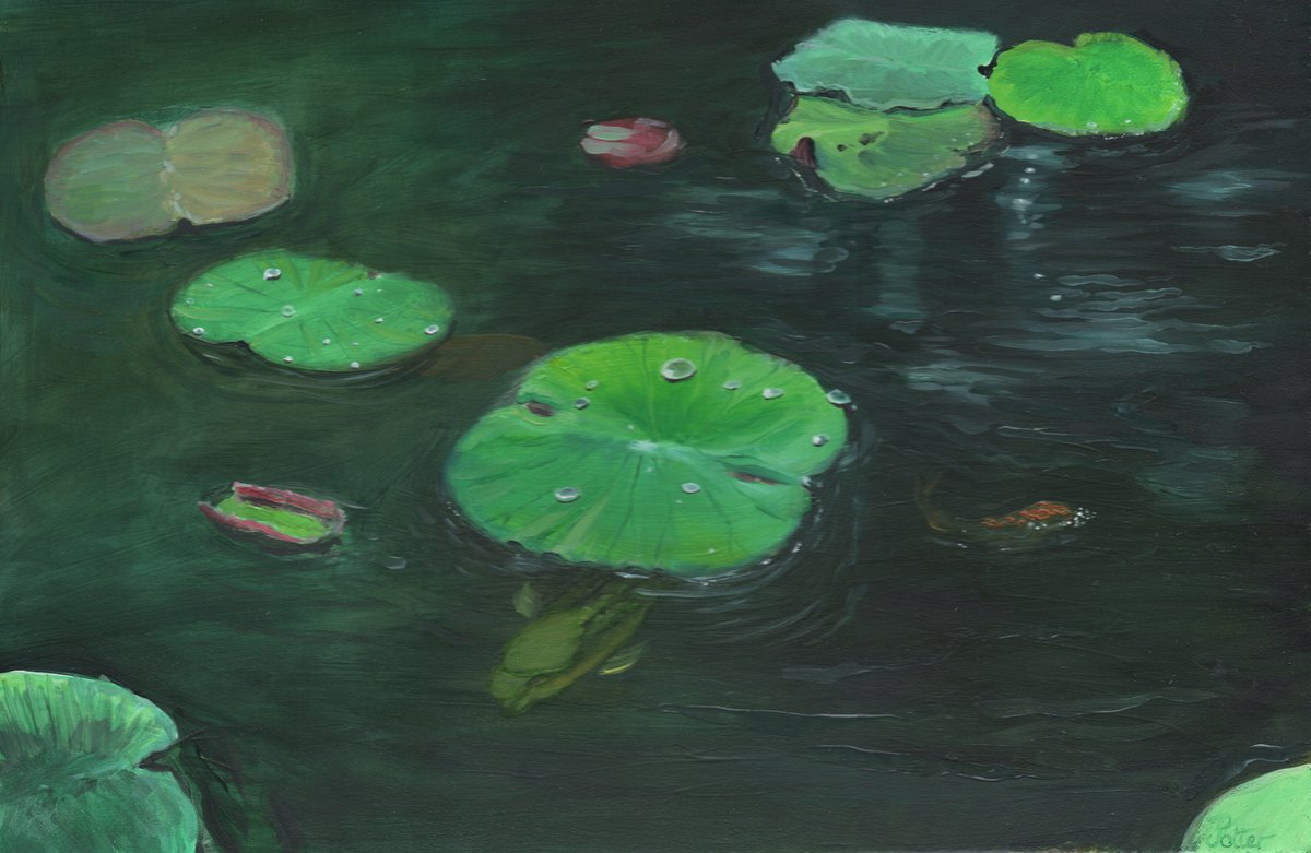 Pond by James Potter