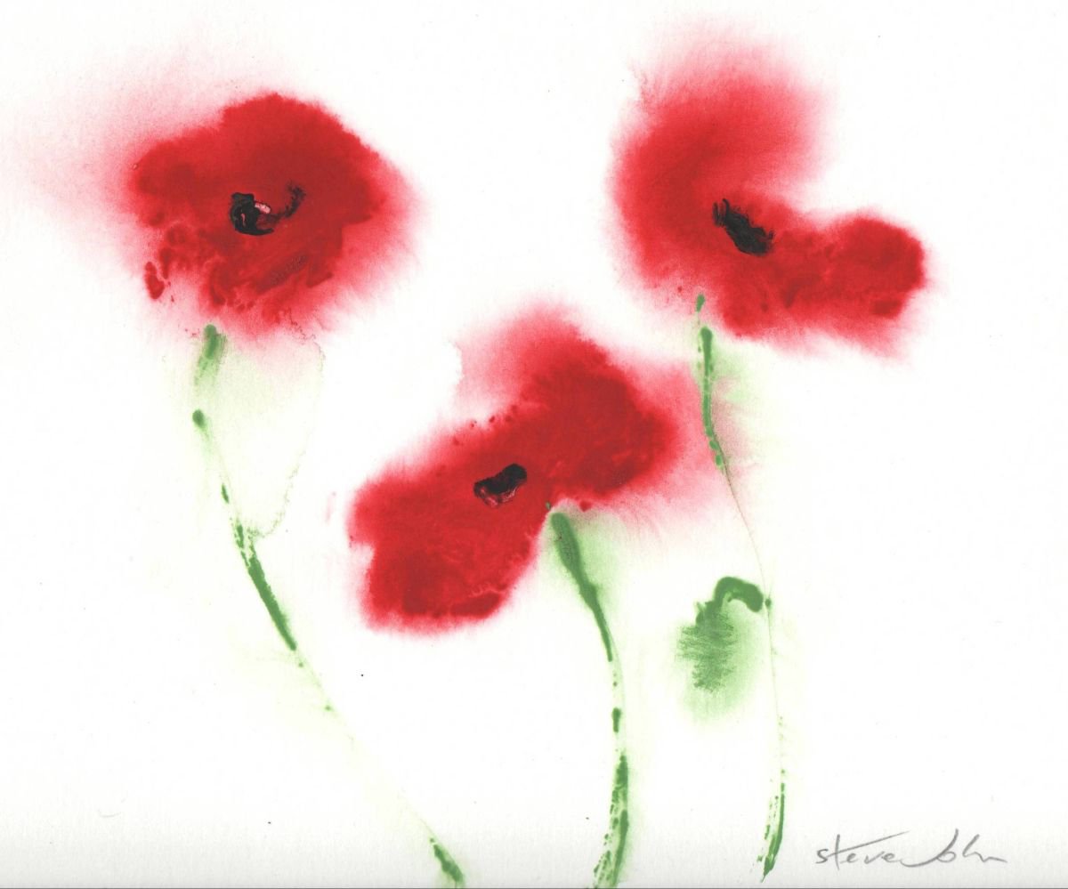 Vivid Poppies 2 by Steve John
