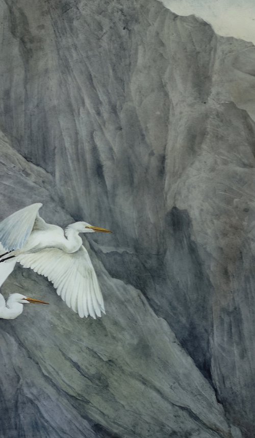 Great Egret Couple by Olga Beliaeva Watercolour
