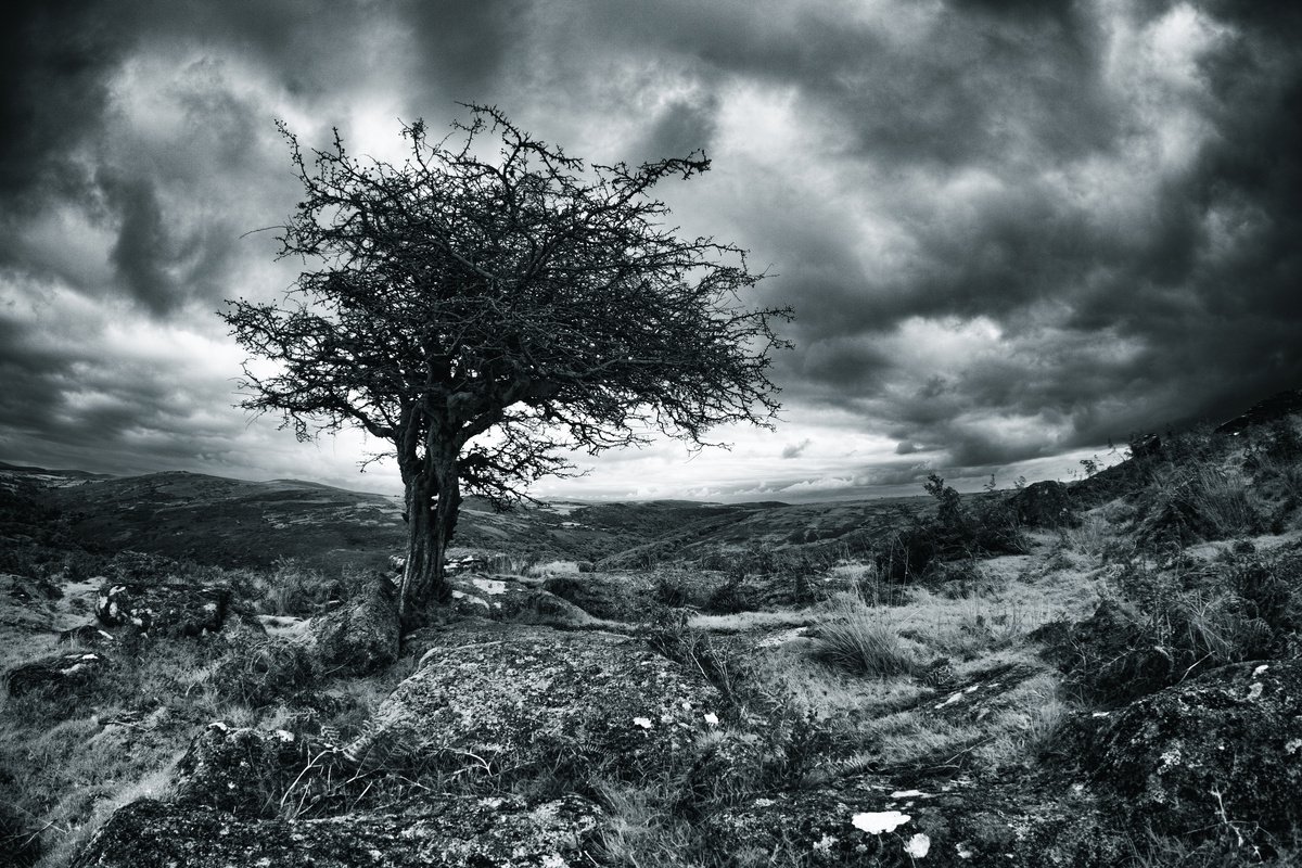 Classic Dartmoor by Paul Nash