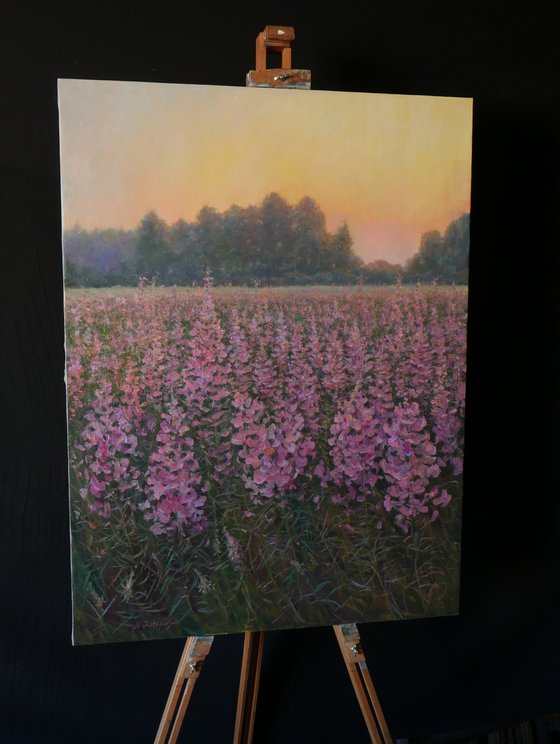 Sunset Over The Fireweed Field