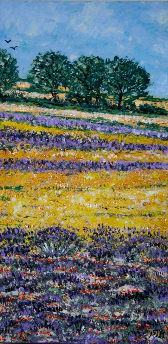 Selborne Lavender Fields I