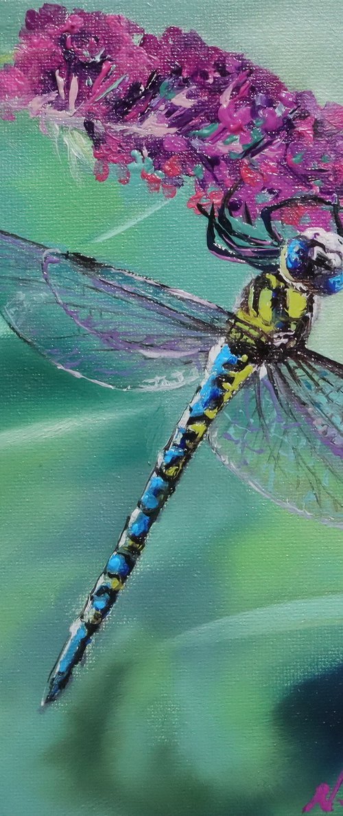 Blue Dragonfly on Pink Flower by Natalia Shaykina