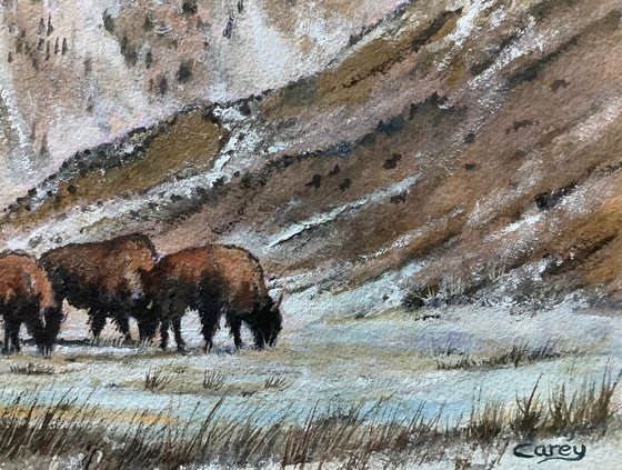 Buffalo hunter