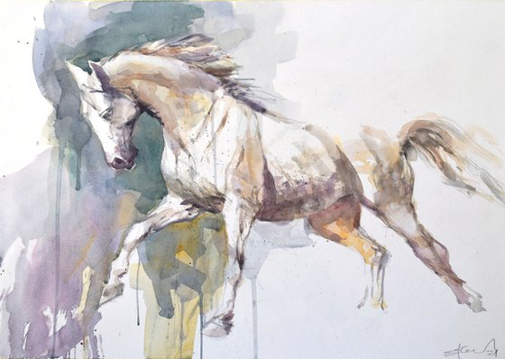 Horse in the run  2(70x50)