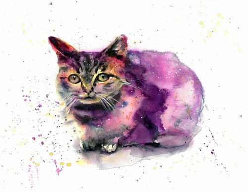 Cat by Andja Zivadinovic