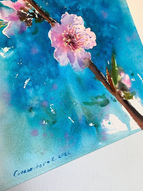 Almond flowers #4