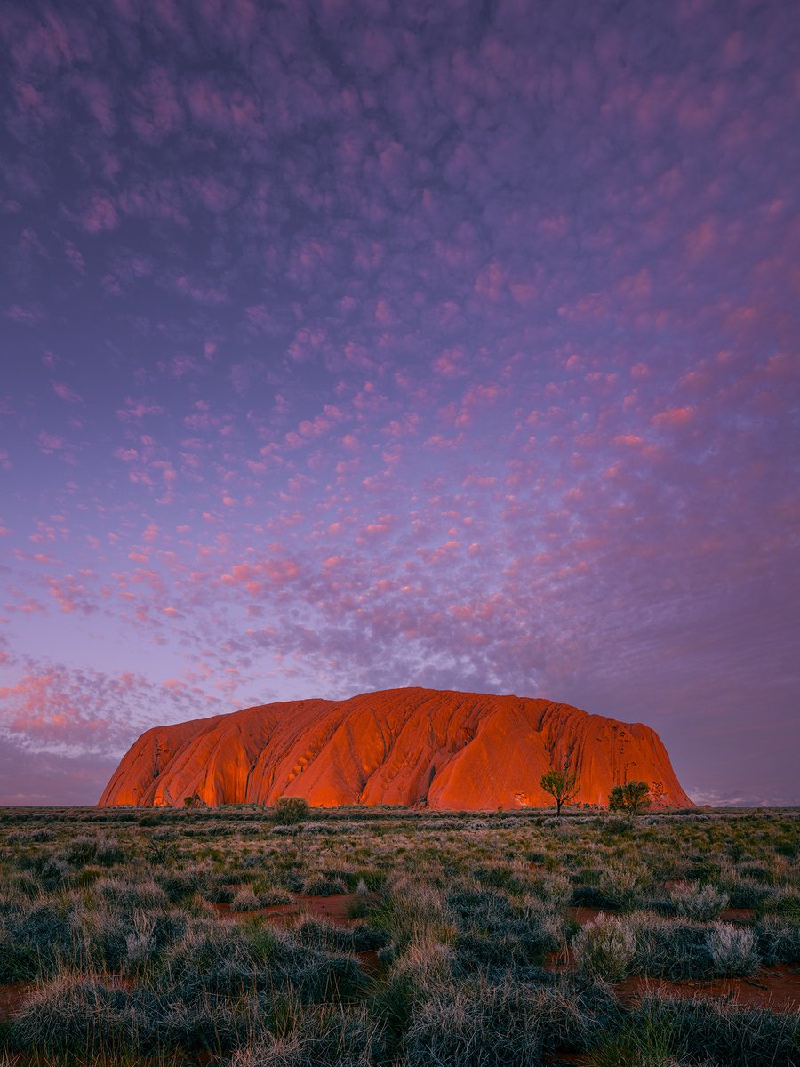 Echoes of Dreamtime by Nick Psomiadis