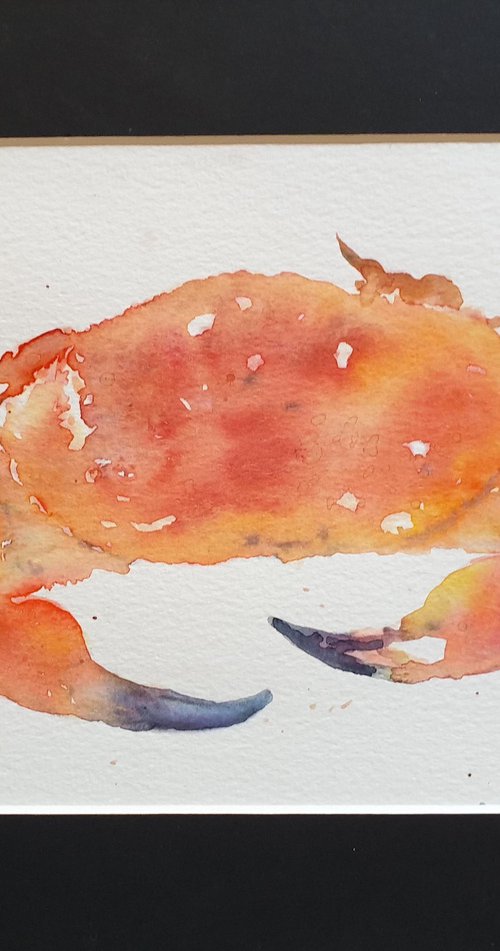Crab by Teresa Tanner