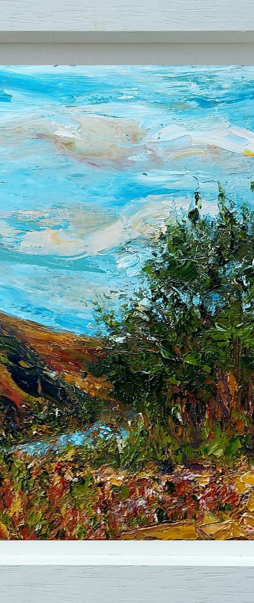 Above Glendalough, Wicklow Ireland by Niki Purcell