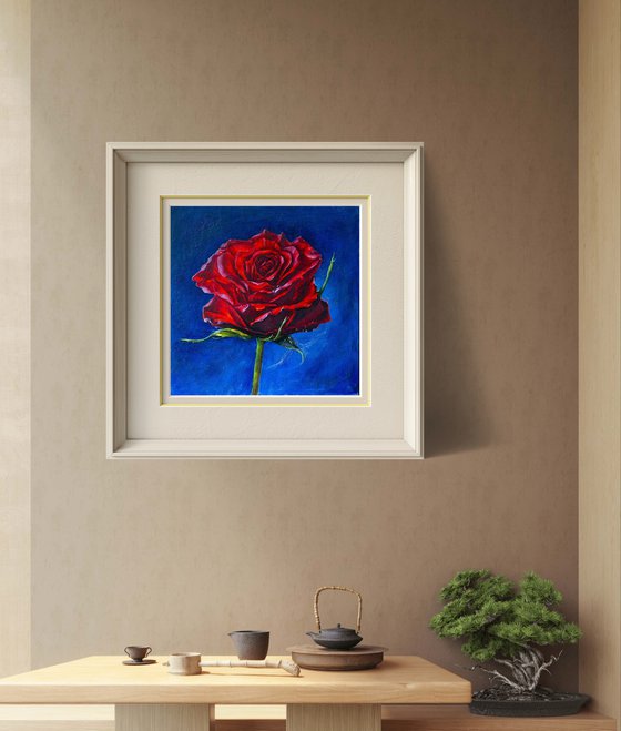 Rose on blue