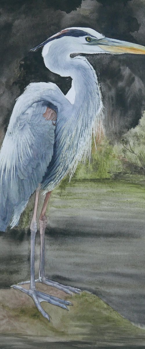 Blue Heron by Karina Danylchuk