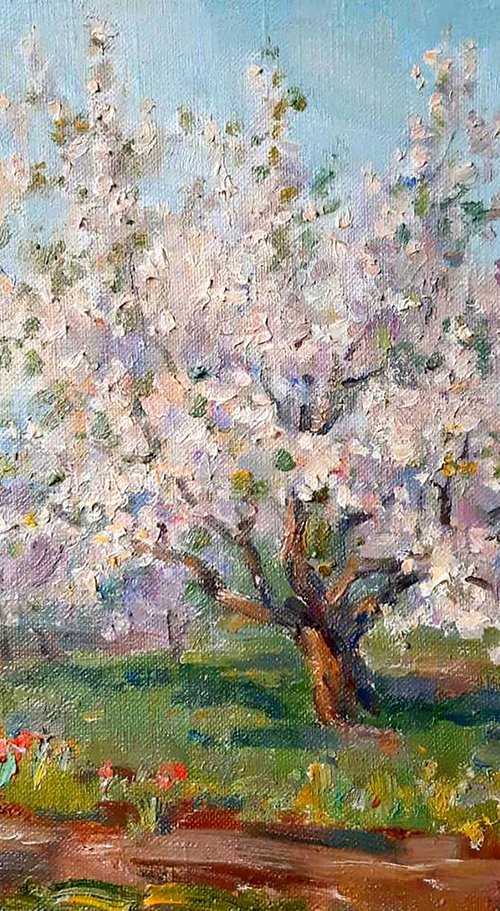 Apricots bloom by Ivan Kovalenko