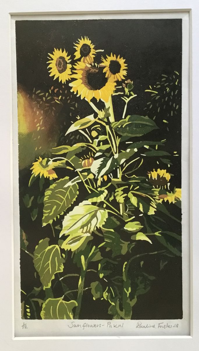 Botanical Linocut By Rosalind Forster, 10 X 15", Sunflowers Pakni, Original Artwork