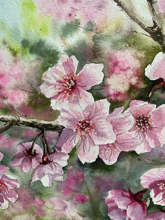 Sacura branched, pink flowers