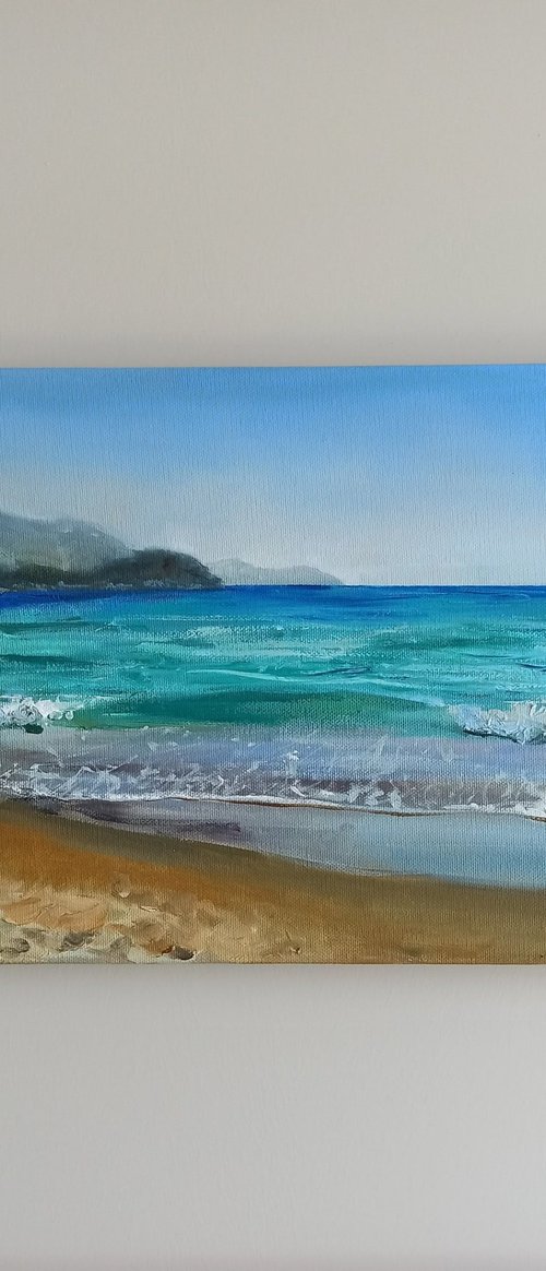 Coastal beach and ocean by Leyla Demir
