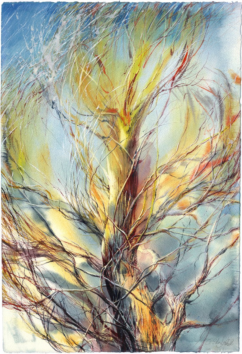 The tree from the window by Olga Sternyk
