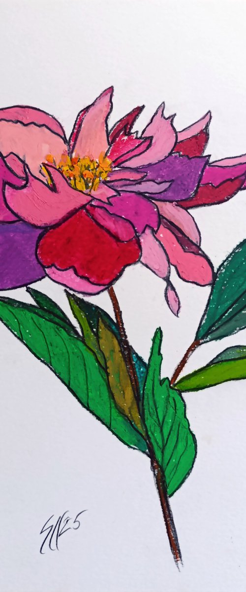 Peony by Salana Art / Svetlana Samovarova