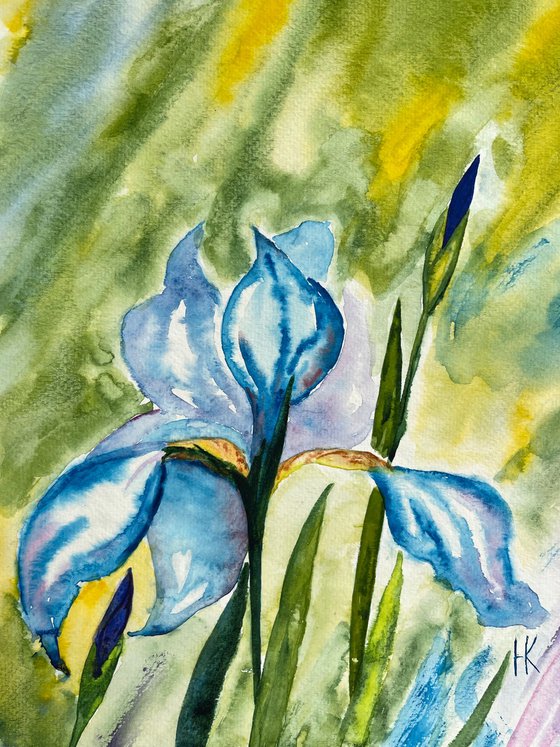 Iris Painting
