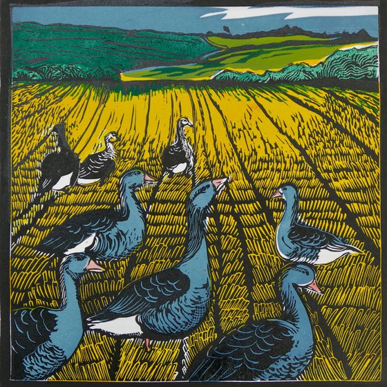 Geese in the Corn