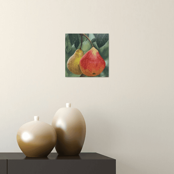 Pears #2