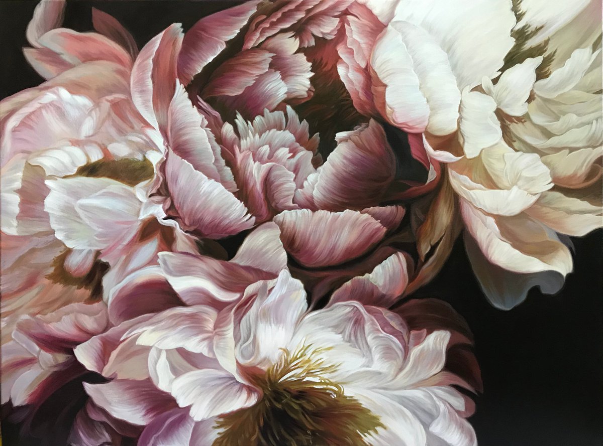 Peonies on a dark background by Elena
